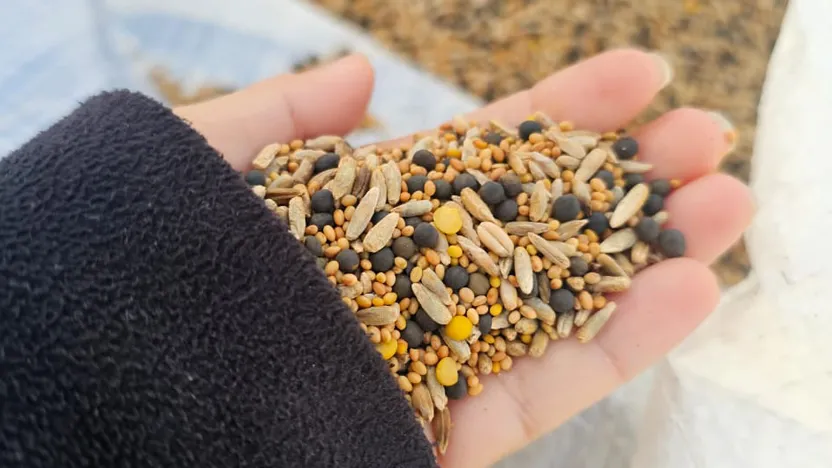 NEW TRIALS FOR A MORE SUSTAINABLE AGRICULTURE