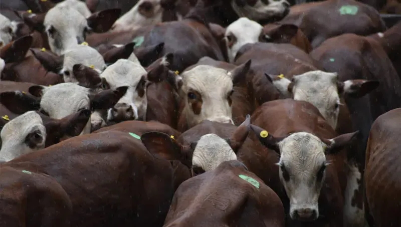 FIRST AND SECOND PLACE FOR PRODEMAN IN FORMOSA