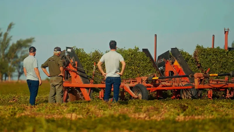 PRODEMAN CONCLUDES THE START-UP STAGE