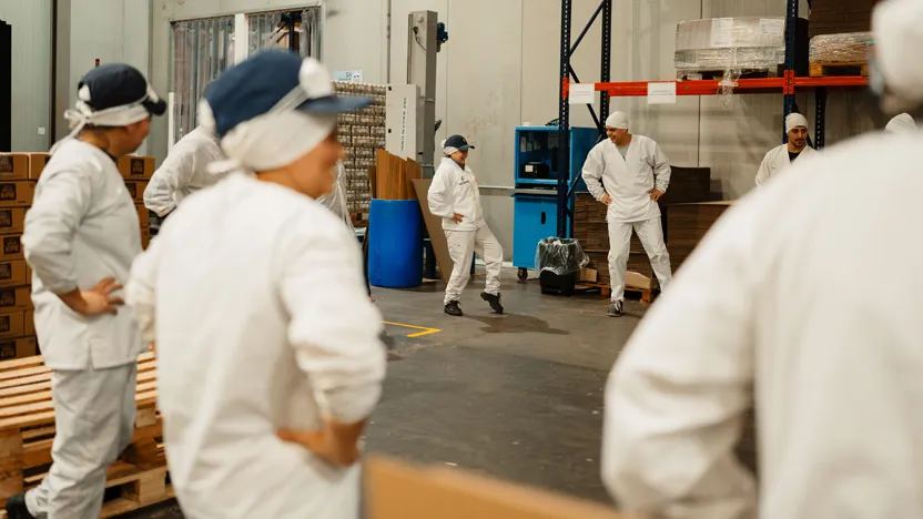 PRODEMAN MOVES WITH ACTIVE BREAKS