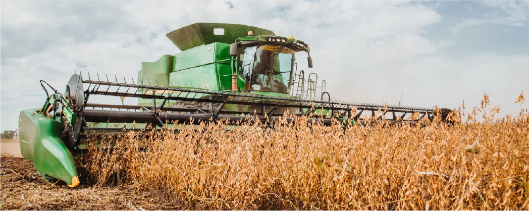 CUIDAMOS NUESTRO SUELO